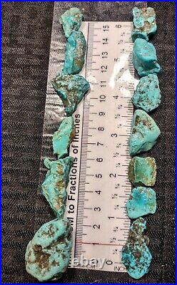 1lbs 67pc. Morenci AZ Turquoise Rough Sky Blue All Can be Made into Cabochons