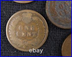 50 Qty of 1894 Indian Head Cents (#JK01-058) All Cull and Better Conditions