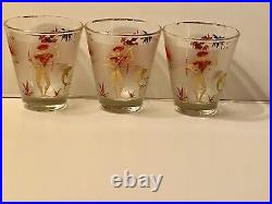 8 Vintage Libbey Caribbean Cruise Whiskey Glasses