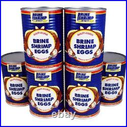 95% Hatch Rate Premium Artemia Brine Shrimp Eggs, Fish Food, Fry Food, Protein