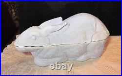 Adorable Blue Milk Glass Bunny Rabbit Covered Dish? NMGCS Piece 2007 PA Rare