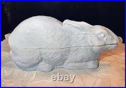 Adorable Blue Milk Glass Bunny Rabbit Covered Dish? NMGCS Piece 2007 PA Rare