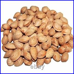 Almonds in Shell (1 kg, 1.5 kg, 2 kg, 3 kg, 5 kg, 10 kg) FREE POSTAGE