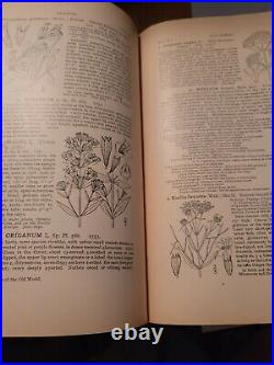 An Illustrated Flora Of The Northern United States, Canada all three volumes 1-3