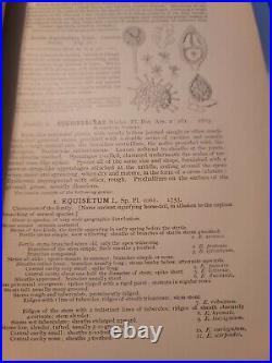 An Illustrated Flora Of The Northern United States, Canada all three volumes 1-3