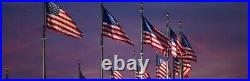 Annin Flagmakers United States Tough-Tex (Poly) Flag, All Sizes Made in the USA