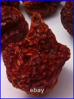 Carolina Reaper Dry Chilli Pods The Hot Pepper Company