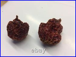 Carolina Reaper Dry Chilli Pods The Hot Pepper Company