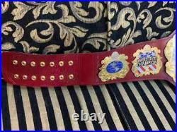IWGP UNITED STATES WRESTLING Championship Title Belt Replica Adult Size 2mm
