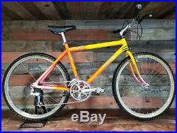 Klein Pinnacle 19 Mountain Bike Backfire Paint All Original XT Biopace