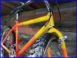 Klein Pinnacle 19 Mountain Bike Backfire Paint All Original XT Biopace