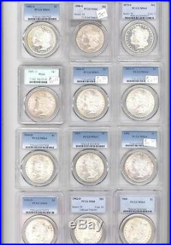 Lot of 12 Different Morgan Silver Dollars All PCGS MS 64 ONE OLD GREEN HOLDER
