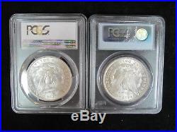 Lot of 14 Different Morgan Silver Dollars All PCGS MS 63