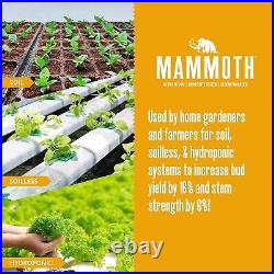 Mammoth P 1L Hydroponics Additive Producing Growth and Yield CLEARANCE PRICE