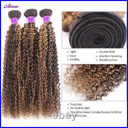 P4 27 Highlight Kinky Curly Hair Weave 3/4 Pcs Bundles Remy Human Hair Extension