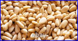 PINE NUTS KERNELS, Raw, Whole, 100% Natural, Premium Quality (150g 5kg)