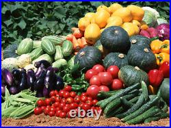 Vegetable Seed Lot $1.39 ea 163 Heirloom Varieties For GARDEN/ STORAGE Organic