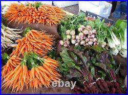 Vegetable Seed Lot $1.39 ea 163 Heirloom Varieties For GARDEN/ STORAGE Organic
