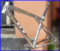 Vintage 1993 GT Zaskar LE Mountain Bike Frame Ball Burnished All Terra Hans Rey