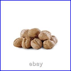 Walnuts in their Shell Whole Premium Quality 500g 10kg